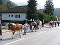 Erntedankfest 09-41
